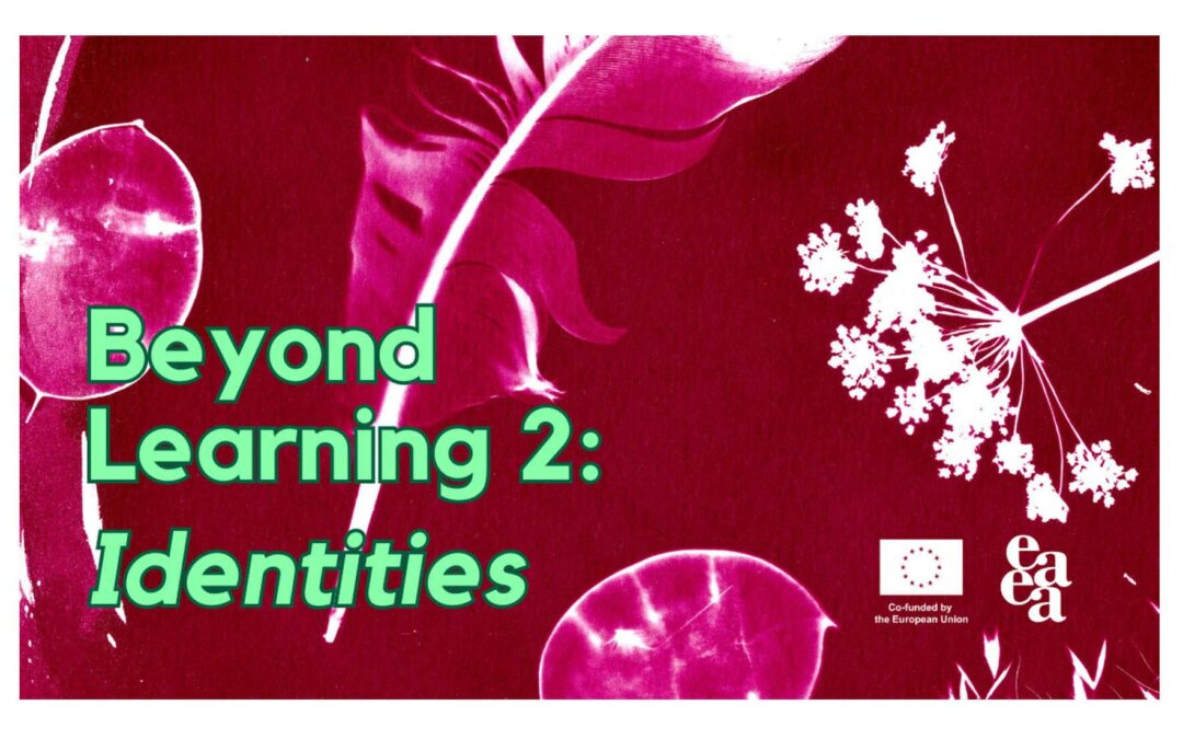 Beyond learning 2 (EAEA)
