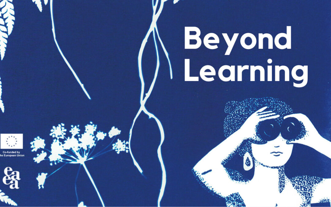 Beyond Learning 1 (EAEA)