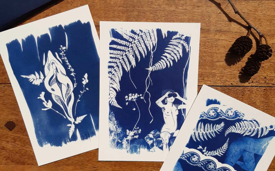Cartes postales (cyanotypes réimprimés)