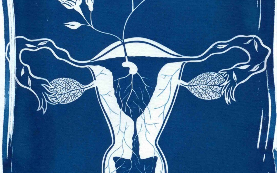 « Seed »